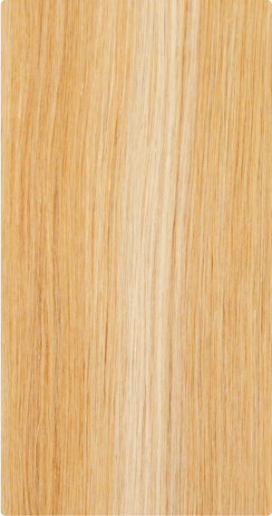 SF27/12613 [+$10.00]