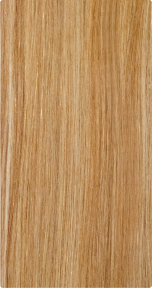 SF810/1613 [+$22.00]